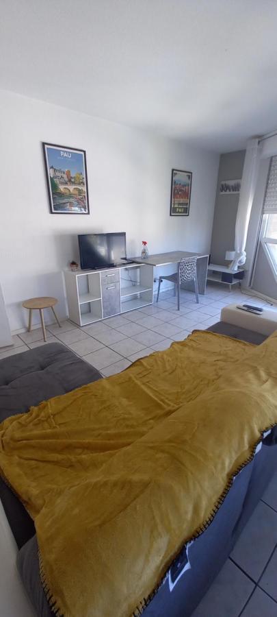 Apartament Le Petit Loup Palois - Terrasse & Wifi Fibre Pau Zewnętrze zdjęcie