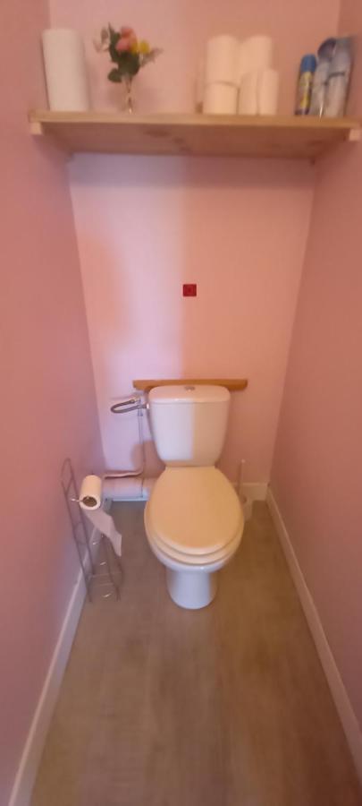 Apartament Le Petit Loup Palois - Terrasse & Wifi Fibre Pau Zewnętrze zdjęcie